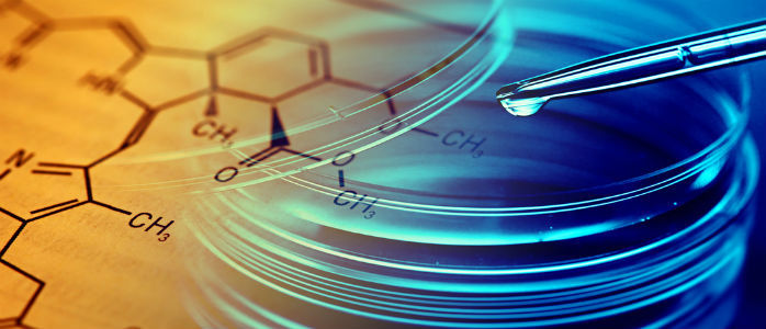 Verantwortungsvolle Biomedizin braucht Grenzen(© shutterstock)