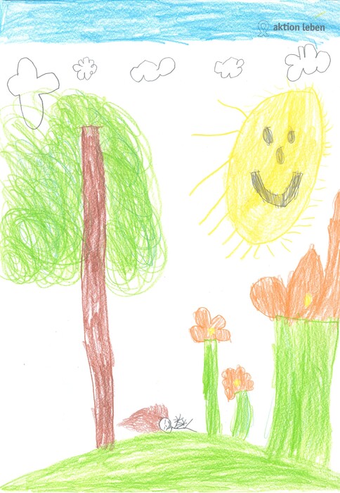 Jakob, 8, Markersdorf